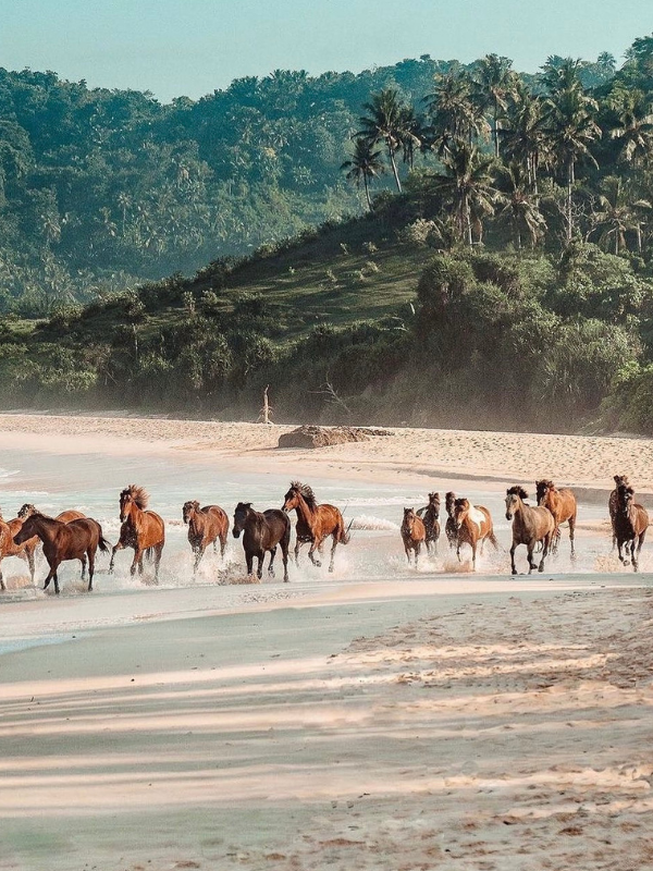 Abeona Travel