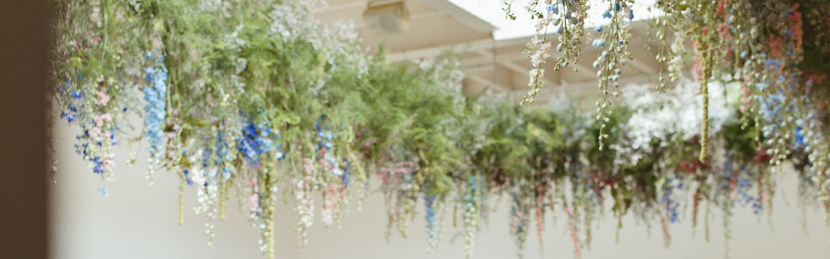 Botanique Workshop