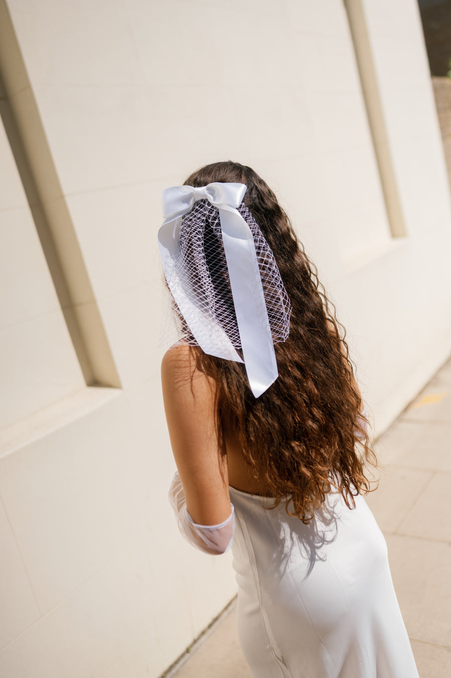 Birdcage Bow Veil