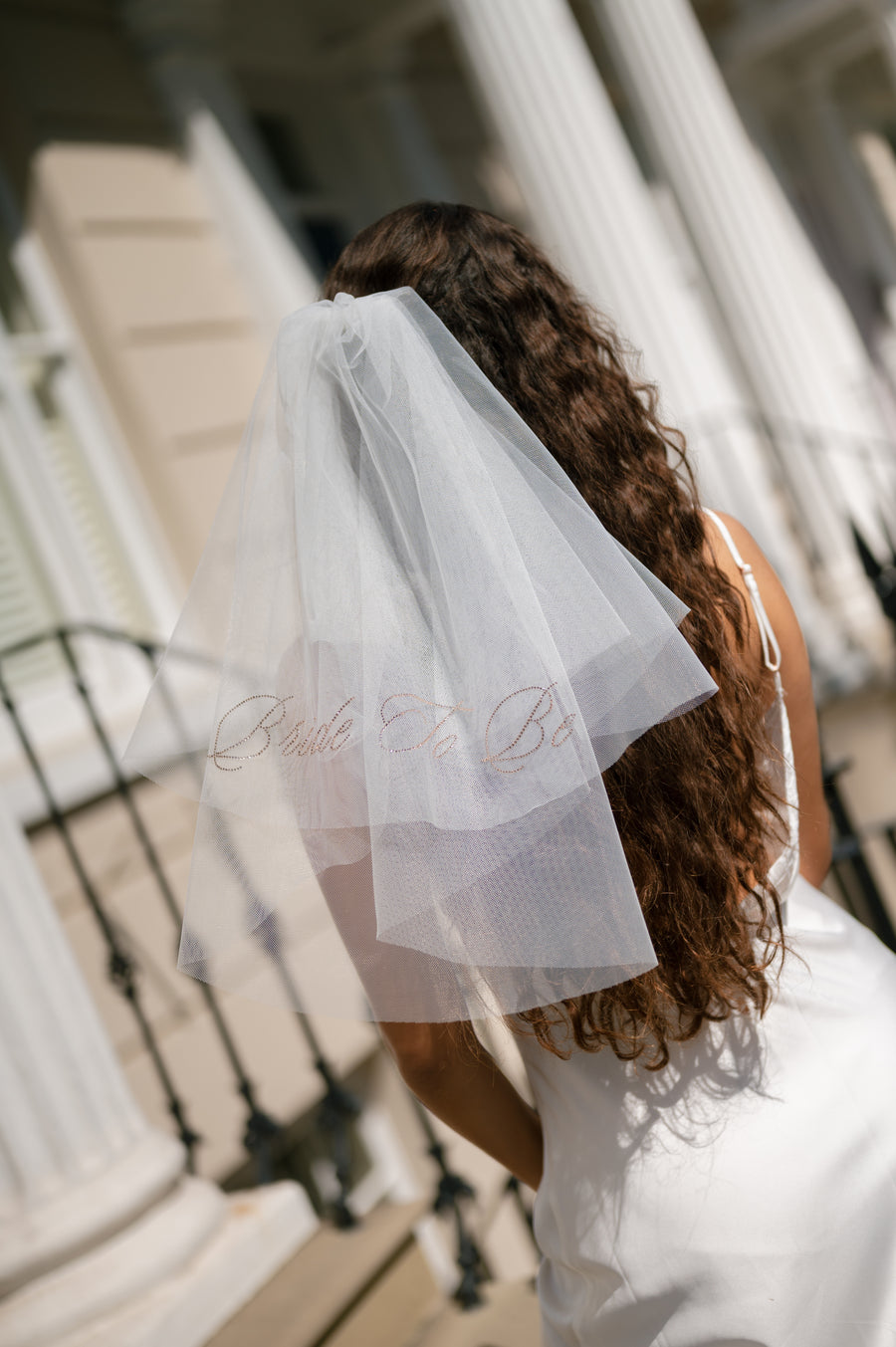 Bride To Be Diamanté Veil