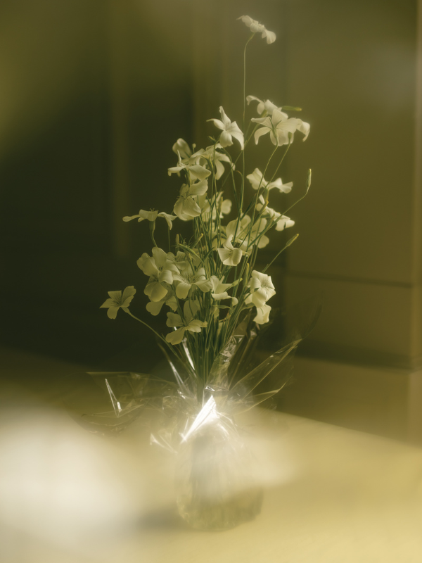 The Good Florist