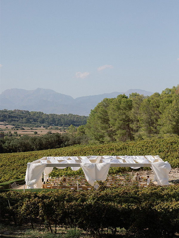 In Awe Weddings & Events