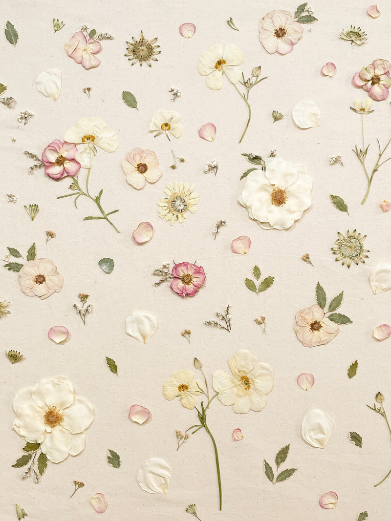 Madeeco -                                                   Floral Preservation Studio
