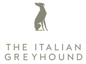 The Italian Greyhound