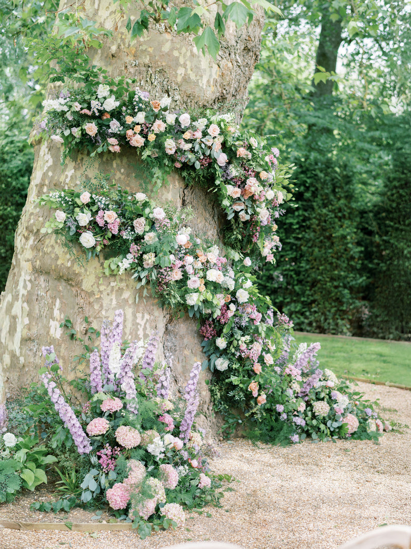 The Way To Bloom
