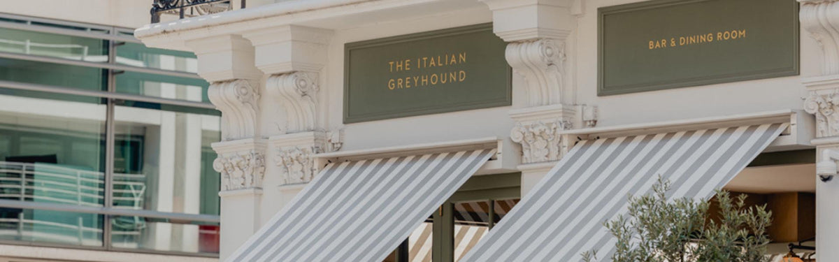 The Italian Greyhound