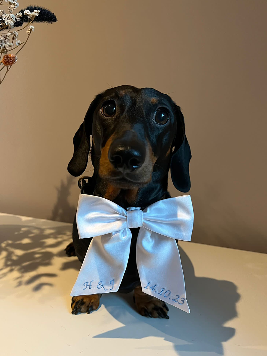 Personalised Wedding Dog Bow