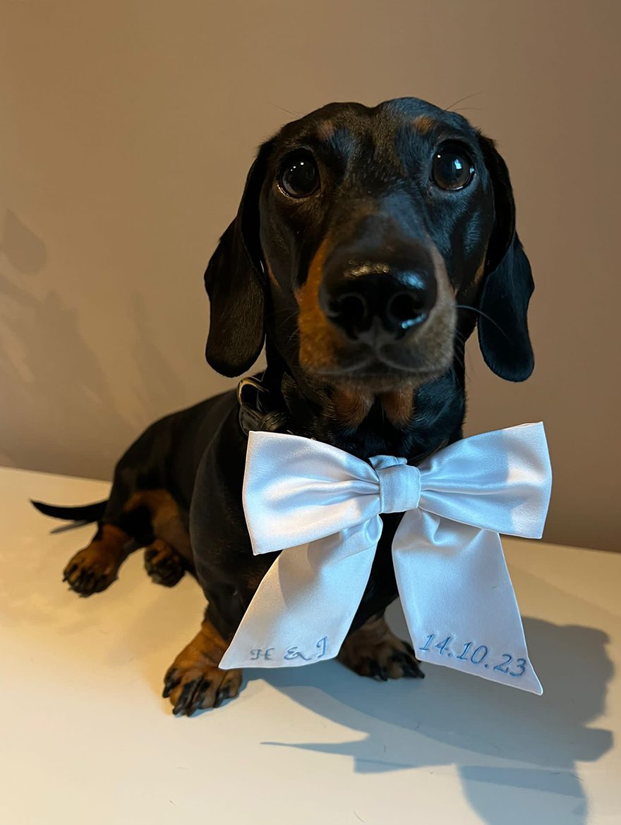 Personalised Wedding Dog Bow